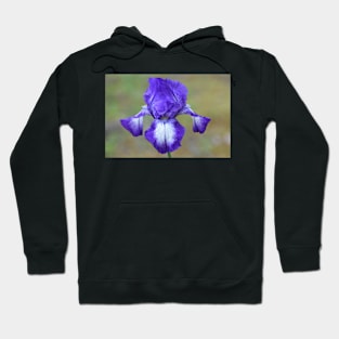 Fully bloomed Hoodie